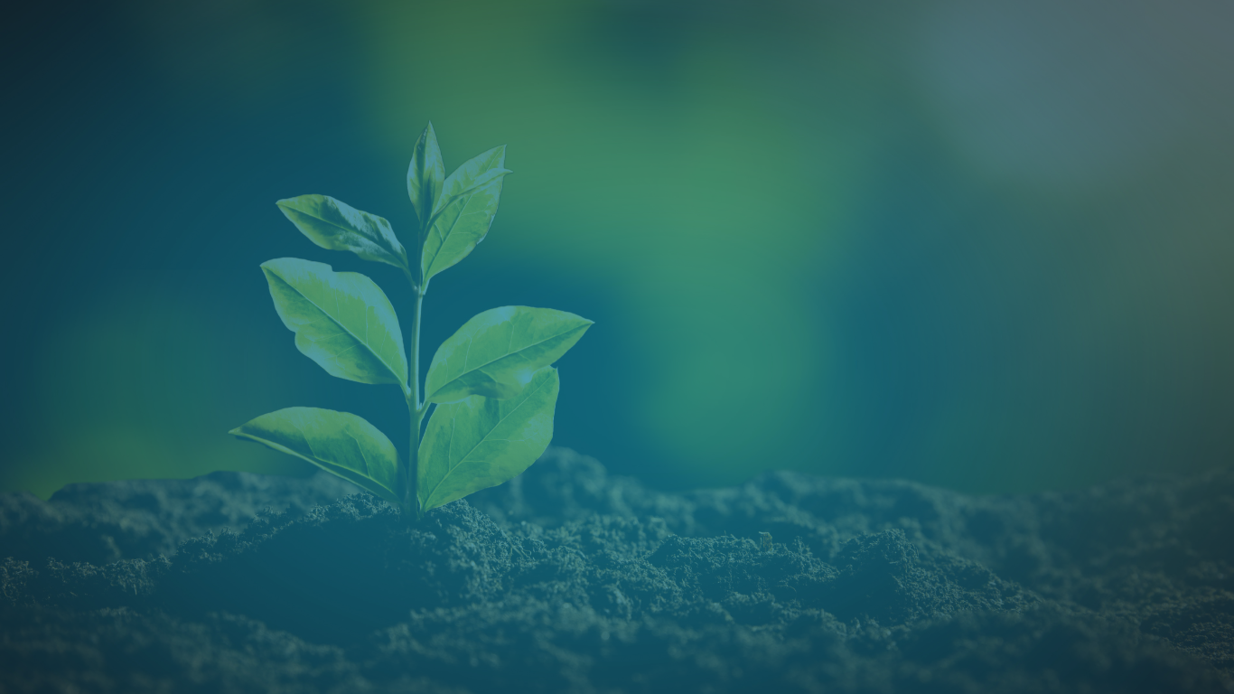 Sustainability & ESG Africa Conference & Expo logo