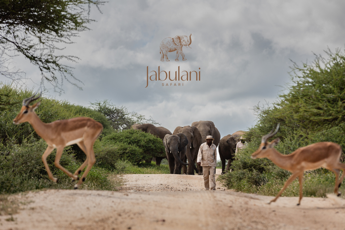 Sustainability Is Becoming a Competitive Advantage in African Tourism